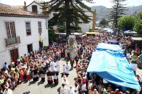 romeria pino